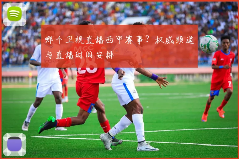 哪个卫视直播西甲赛事？权威频道与直播时间安排