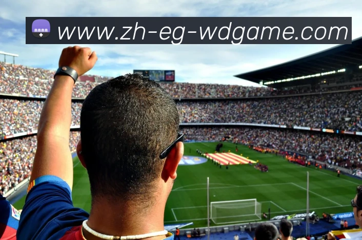 多媒体互动体验